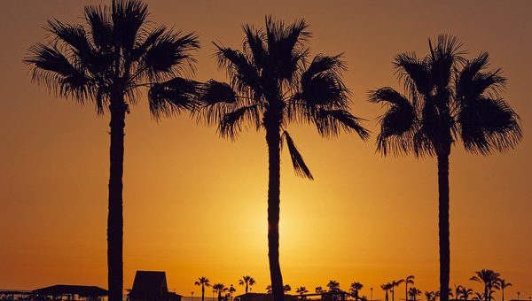 gran-canaria-urlaub-buchen-600-1