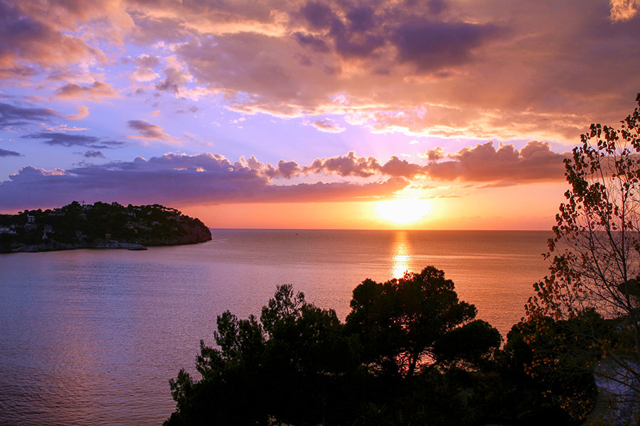 Mallorca Urlaub buchen